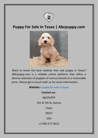 Puppy For Sale In Texas  Abcpuppy