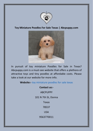 Toy Miniature Poodles For Sale Texas  Abcpuppy