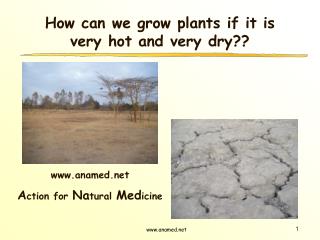How can we grow plants if it is very hot and very dry??
