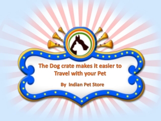 The Dog Crate Makes It Easier to Travel With Your Pet