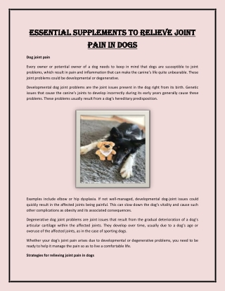 Essential Supplements to Relieve Joint Pain in Dogs