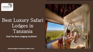 Best Luxury Safari Lodges in Tanzania