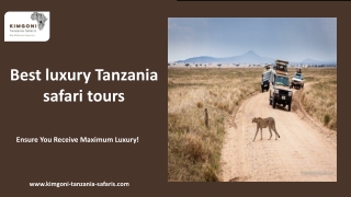 Best Luxury Tanzania Safari Tours