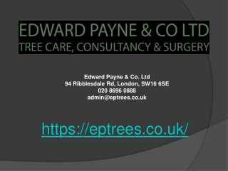 Edward Payne and Co LTD