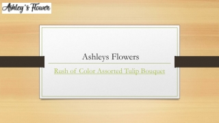 Rush of Color Assorted Tulip Bouquet | Ashleysflower.com