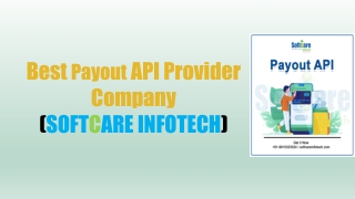 Best Payout API Provider Company