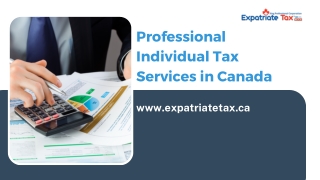 Professional Individual Tax Services in Canada