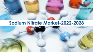 Sodium Nitrate Market Share, Growth Analysis 2022-28