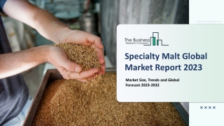 Specialty Malt Market Report By Size, Share And Forecast To 2023-2032