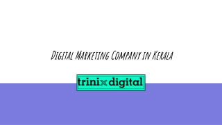 Trinix Digital With Latest Digital Marketing Trends