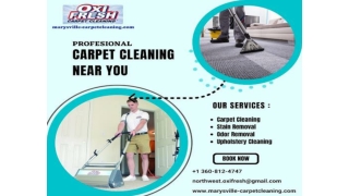 Carpet Cleaners Near Me - Quality Cleaning for Your Home or Business