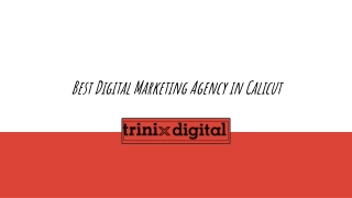 Latest Digital Marketing Trends in Calicut | Trinix Digital
