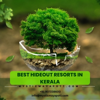 Best Hideout Resorts In Kerala