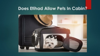 Does Etihad Allow Pets In Cabin