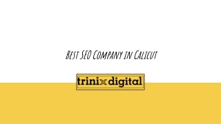 Best SEO Trends| Trinix Digital, Calicut