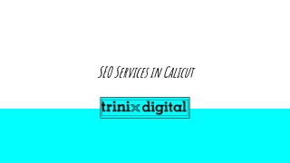 SEO Services in Calicut