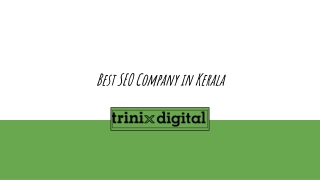 Increase Business With SEO Company Kerala | Trinix Digital