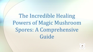 The Incredible Healing Powers of Magic Mushroom Spores: A Comprehensive Guide