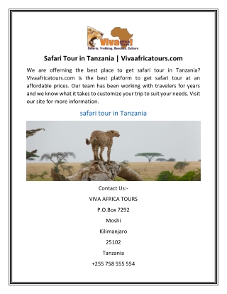 Safari Tour in Tanzania | Vivaafricatours.com