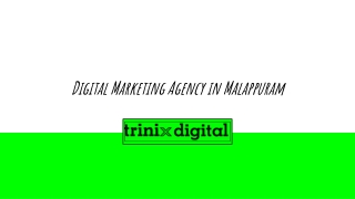 Digital Marketing Agency in Malappuram