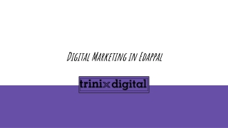 Digital Marketing in Edappal | Trinix Digital
