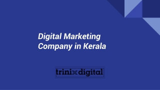 Digital Marketing Company in Kerala