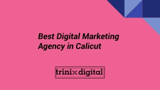 Best Digital Marketing Agency in Calicut