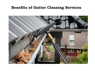 Gutter Cleaning Ballarat Near Me