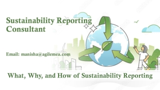 What, Why, and How of Sustainability