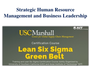 Strategic Human Resource Management and Business Leadership