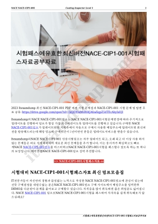 시험패스에유효한최신버전NACE-CIP1-001시험패스자료공부자료