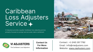 High-Quality Loss Adjusting Services in the Caribbean | VI Adjusters