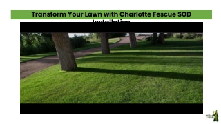 Transform Your Lawn with Charlotte Fescue SOD Installation