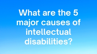 What are five 5 major causes of intellectual disabilities