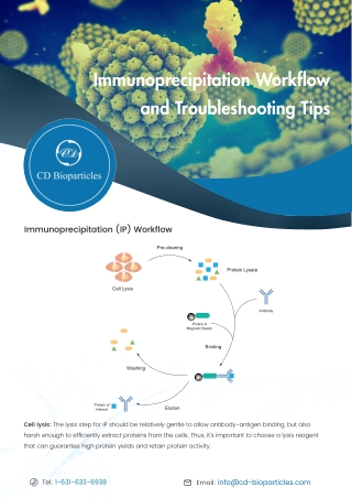 Immunoprecipitation Workflow and Troubleshooting Tips