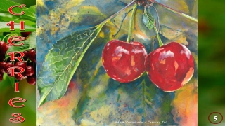 Cherries 5