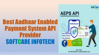 Best Aadhaar Enabled Payment System API