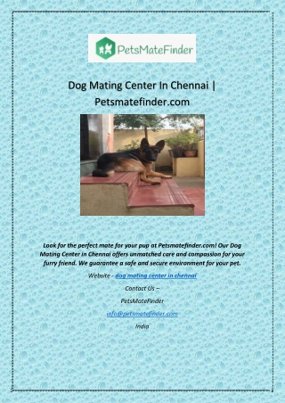 Dog Mating Center In Chennai | Petsmatefinder.com