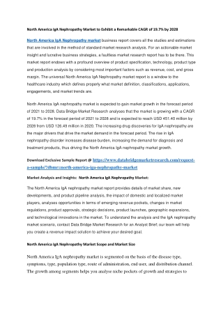 North America IgA Nephropathy Market to Exhibit a Remarkable CAGR of 19.7 by 2028