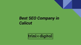 Best SEO Company in Calicut