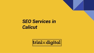 SEO Services in Calicut