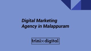 Digital Marketing Agency in Malappuram
