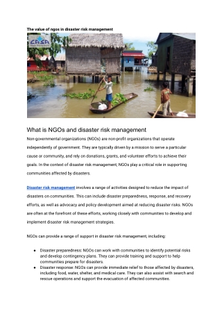 The value of NGOs in disaster risk management