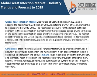 Global Yeast Infection Market – Industry Trends and Forecast to 2029
