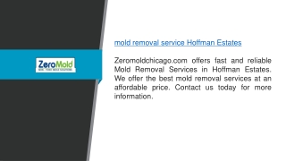 Mold Removal Service Hoffman Estates Zeromoldchicago.com