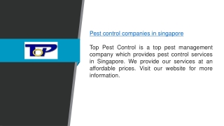 Pest Control Companies in Singapore