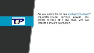 Search For The Pest Control Service At A Low Cost  Top-Pest Control