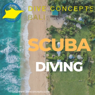 Experience Best Scuba Diving In Bali