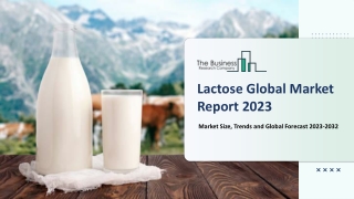 Lactose Market