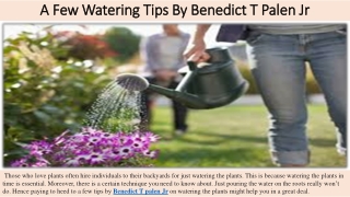 A Few Watering Tips By Benedict T Palen Jr